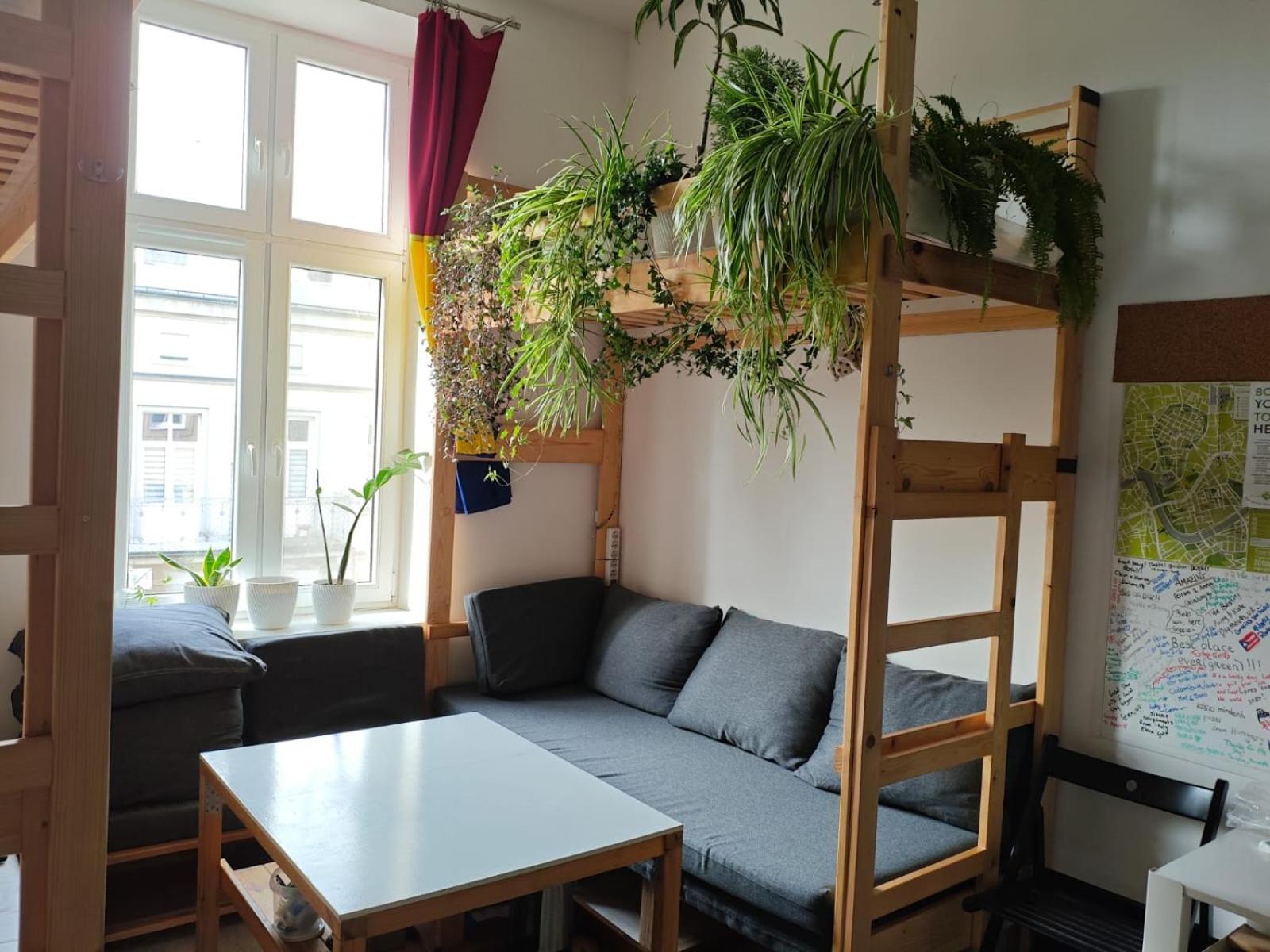 Evergreen Hostel Krakow — Zdjęcia 2