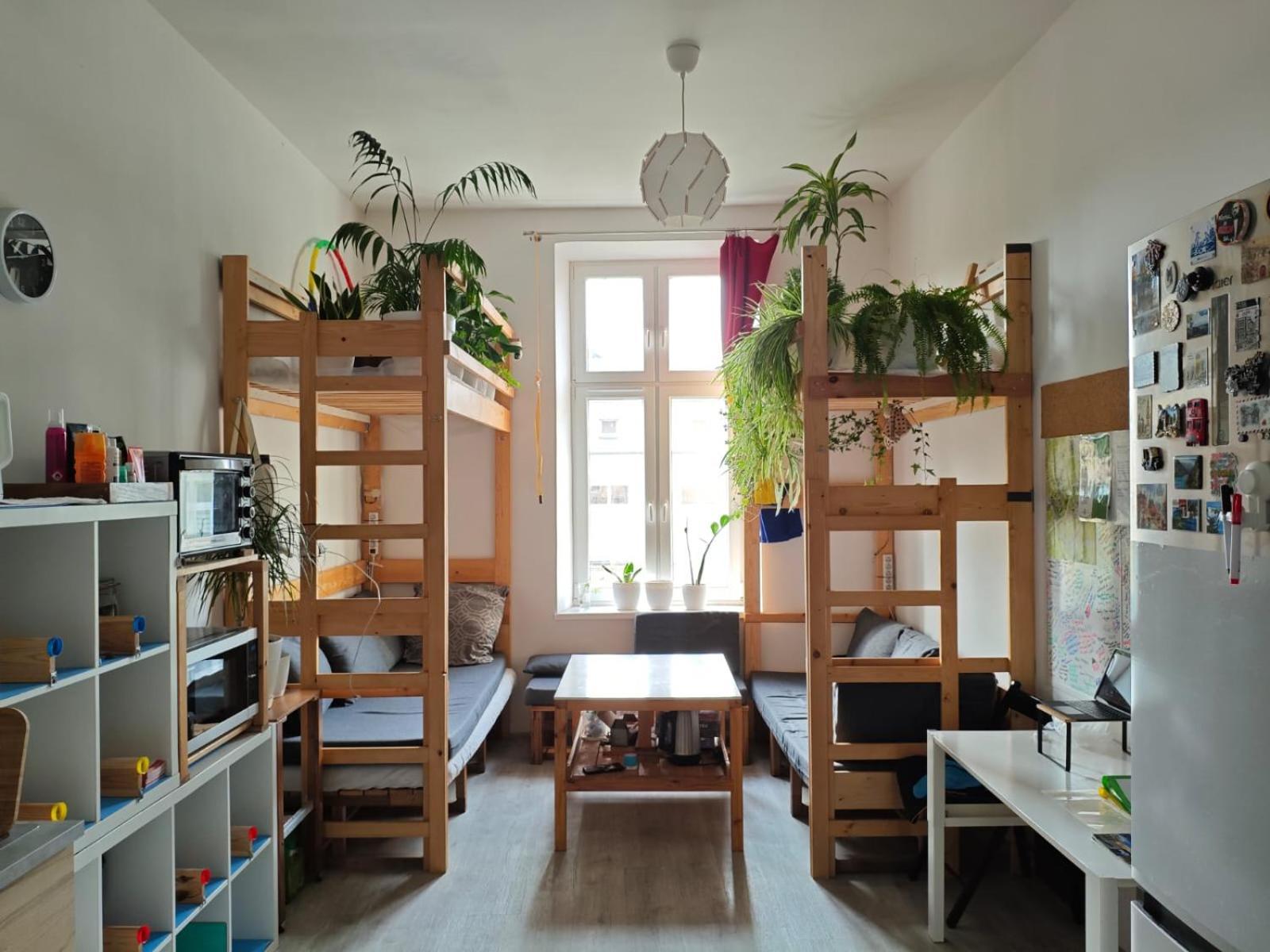 Evergreen Hostel Krakow — Zdjęcia 1